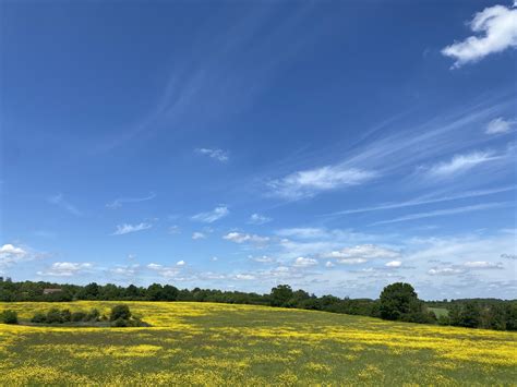 St Albans district council named and shamed in damning attack on Local