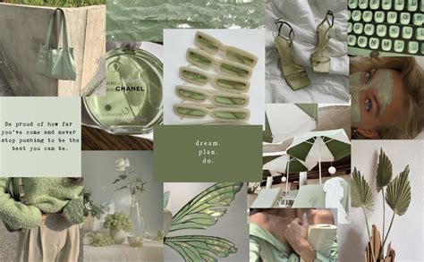 Aesthetic Collage Sage Green Wallpaper Free Download