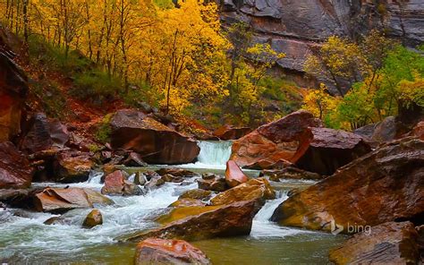 Fall Forest Stream Bing Theme Wallpaper Preview