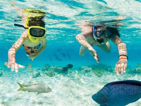 Snorkel Cruise Island Experience