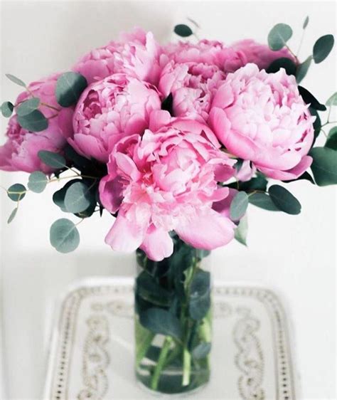 Pretty Pink Peonies Flower Arrangement In A Vase Bouquet Of Pink