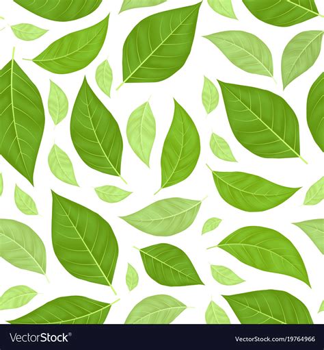 Green Leaves Seamless Pattern Background Vector Image