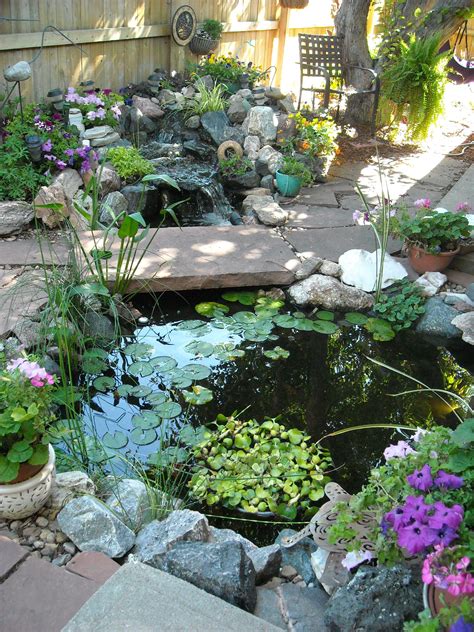Small Backyard Ponds Ponds For Small Gardens Urban Backyard Backyard