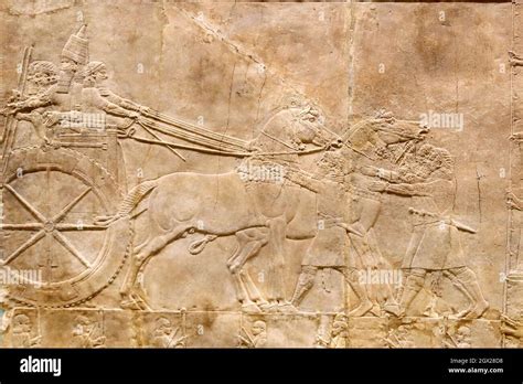 Royal Lion Hunt Of King Ashurbanipal Hi Res Stock Photography And