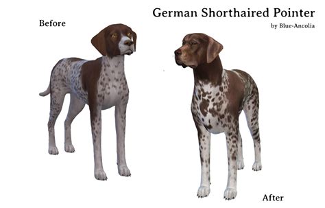 Sims 4 German Shorthaired Pointer Tumblrviewer