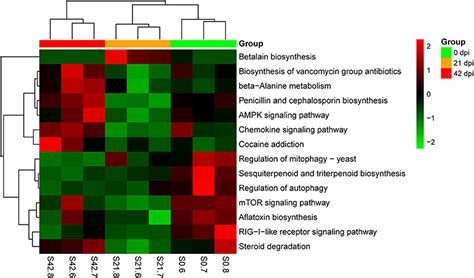 Frontiers Alterations Of Gut Microbiome And Metabolite Profiling In