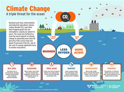 Maybe you would like to learn more about one of these? Climate change and the ocean