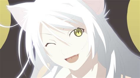 Hanekawa Tsubasa Monogatari Series Cat Anime Girls White Haired Catgirl Anime HD