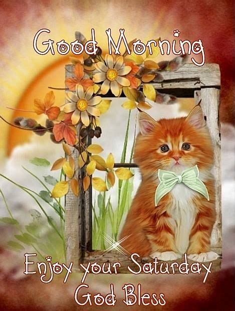 Cute Kitty Saturday Morning Quote Pictures Photos And Images For