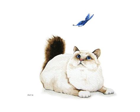 Cat And Butterfly Original Watercolor Painting Cat Art