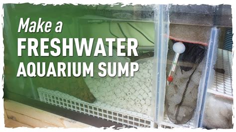 Make A Freshwater Aquarium Sump G Redo Pt Youtube