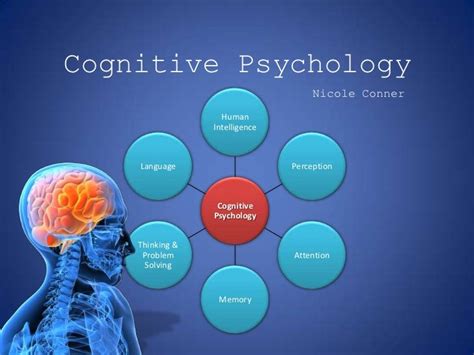 XHGESSAYAYO.WEB.FC2.COM - Anxiety cognition cognitive essay in ...