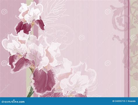 Irises On A Pink Background Stock Vector Illustration Of Event