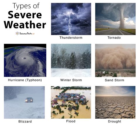 Four Types Of Weather