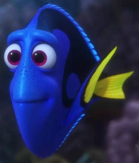 Bab.la is not responsible for their content. Dory | Disney Wiki | Fandom