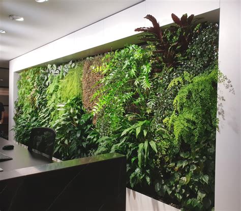 Emirates House Indoor Green Wall Fytogreen Australia