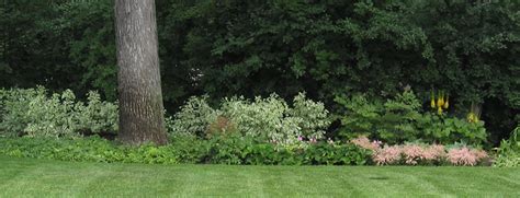 About San Filippo Landscaping Barrington Il