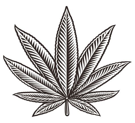 Weed Leaf Vector Logo