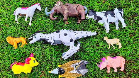Menemukan Mainan Hidup Kuda Sapi Dinosaurus Gajah Burung Badak Tikus