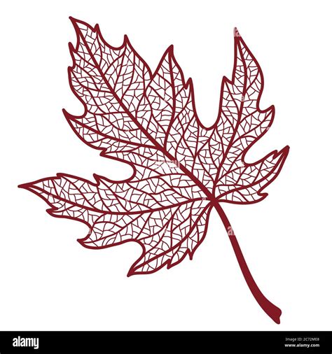 Illustration Of Autumn Maple Leaf Stock Vector Image And Art Alamy
