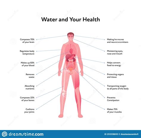 Water And Your Health Care Infographic Layout Vector Flat Healthcare