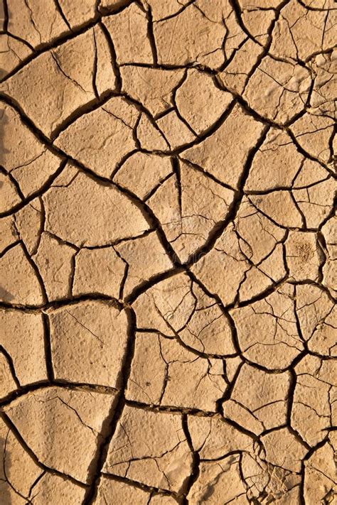 Dry Cracked Earth Texture Stock Photo Image Of Detail 28026680