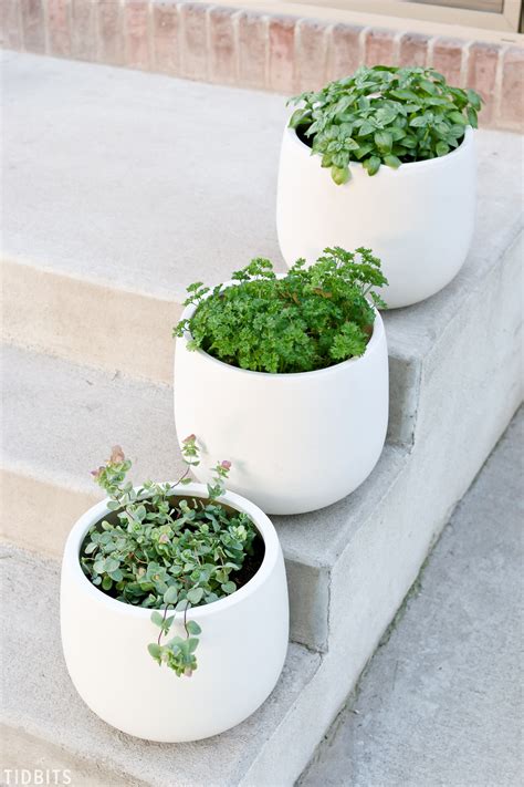 Must Know Tips For Container Herb Gardening Tidbits