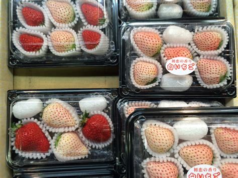 7 Popular Fruits In Japan Best Places And Timing To Enjoy Japan