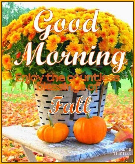 Good Morning Enjoy Your Fall Day Pictures Photos And Images For