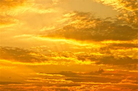 Perfect Pallet Of Yellows Yellow Sky Sky Pictures Yellow Aesthetic