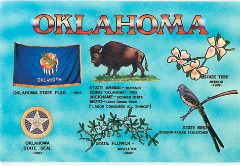 Oklahoma Flag Seal Buffalo Tree Bird Greetings From Postcard 8621