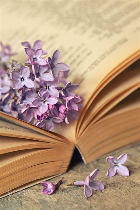 Lilac Flowers With Old Book Flower Aesthetic Book Flowers Flowers