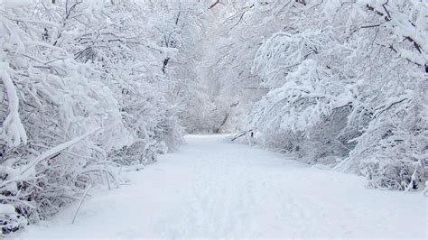 Beautiful Snow Wallpapers ·① Wallpapertag