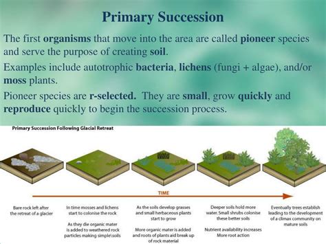 Ppt Section 20 2 3 Patterns And Succession Powerpoint Presentation