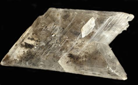 Cristales De Yeso Entre Arcillas Y Carbón Museo De Ciencias Naturales