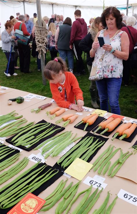 Thousands Turn Out For This Years Stokesley Show Teesside Live