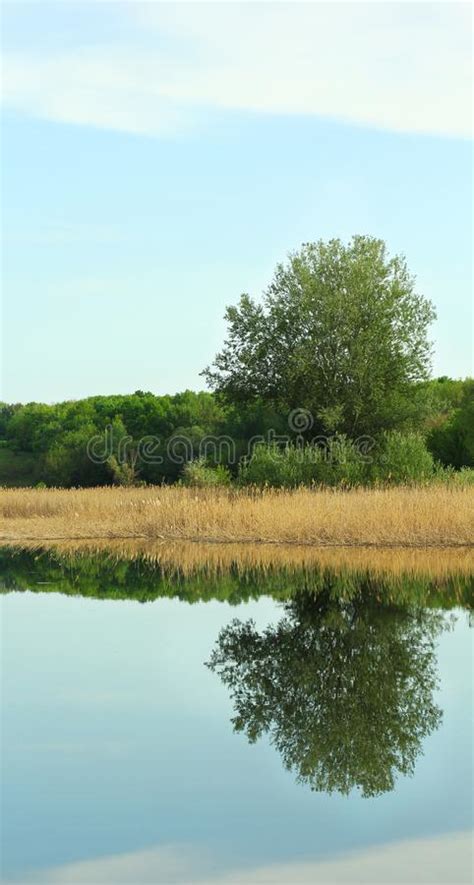 Picturesque Nature Scenery Of Central Ukraine Poltava Stock Image