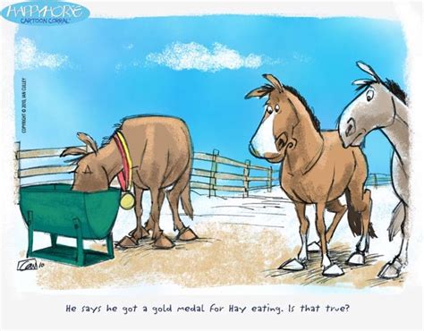 Image Result For Funny Horse Cartoons Horse Cartoon Funny Horse