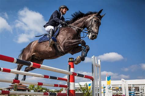 The 11 Types Of Horseback Riding Styles To Know About Pet Keen
