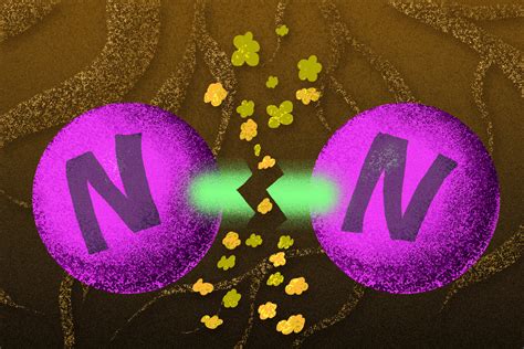 How Metals Work Together To Weaken Hardy Nitrogen Nitrogen Bonds Mit