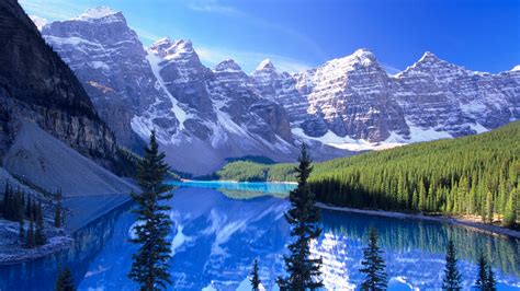 Moraine Lake In The Valley Of The Ten Peaks Wallpaper Backiee