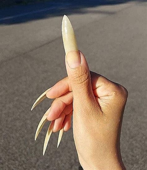 Pin On Natural Stiletto Nails