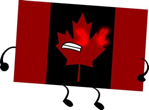 Canadian Flag Sizes Photos