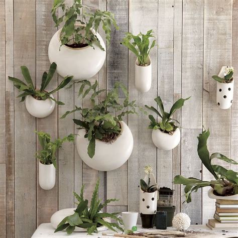 Shane Powers Ceramic Wall Planters Contemporary Indoor Pots And