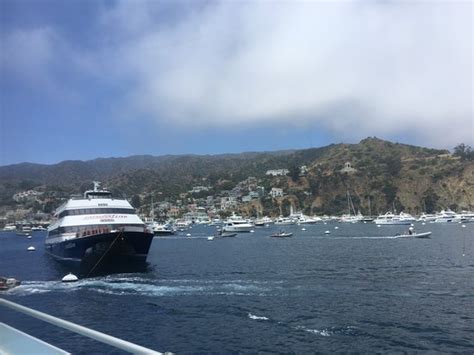 Catalina Express Catalina Island 2019 What To Know Before You Go