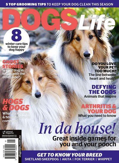 In The Latest Issue Of Dogslife Dogslife Dog Breeds Magazine