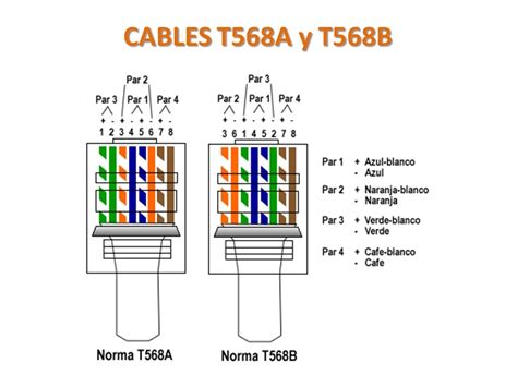 Https://tommynaija.com/wiring Diagram/cat6 Wiring Diagram A Or B