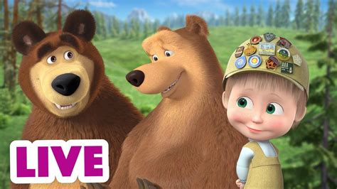 ماشا والدب 👱‍♀️ Live Stream 💗 مشاعري تجاهك 💗 Masha And The Bear Youtube