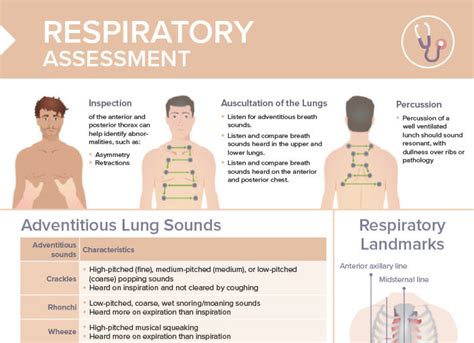 Respiratory Assessment Free Cheat Sheet Lecturio