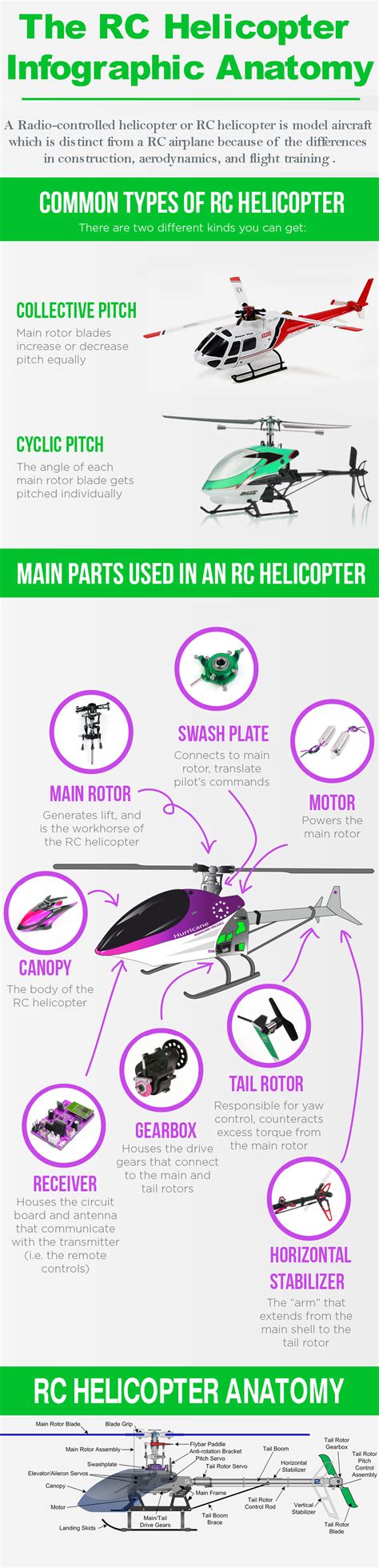 The Rc Helicopter Infographic Anatomy